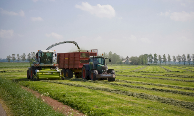 Adviseur voedergewassen (ZZP)