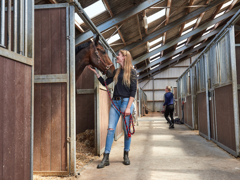 paardenplaats paardenstal aeres hogeschool dronten