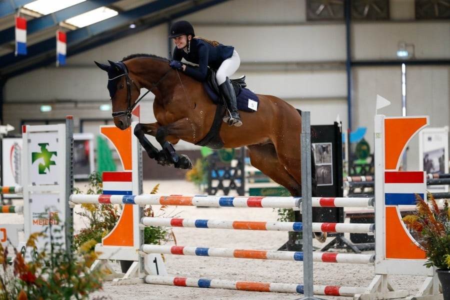 Paardrijden springen over hindernis