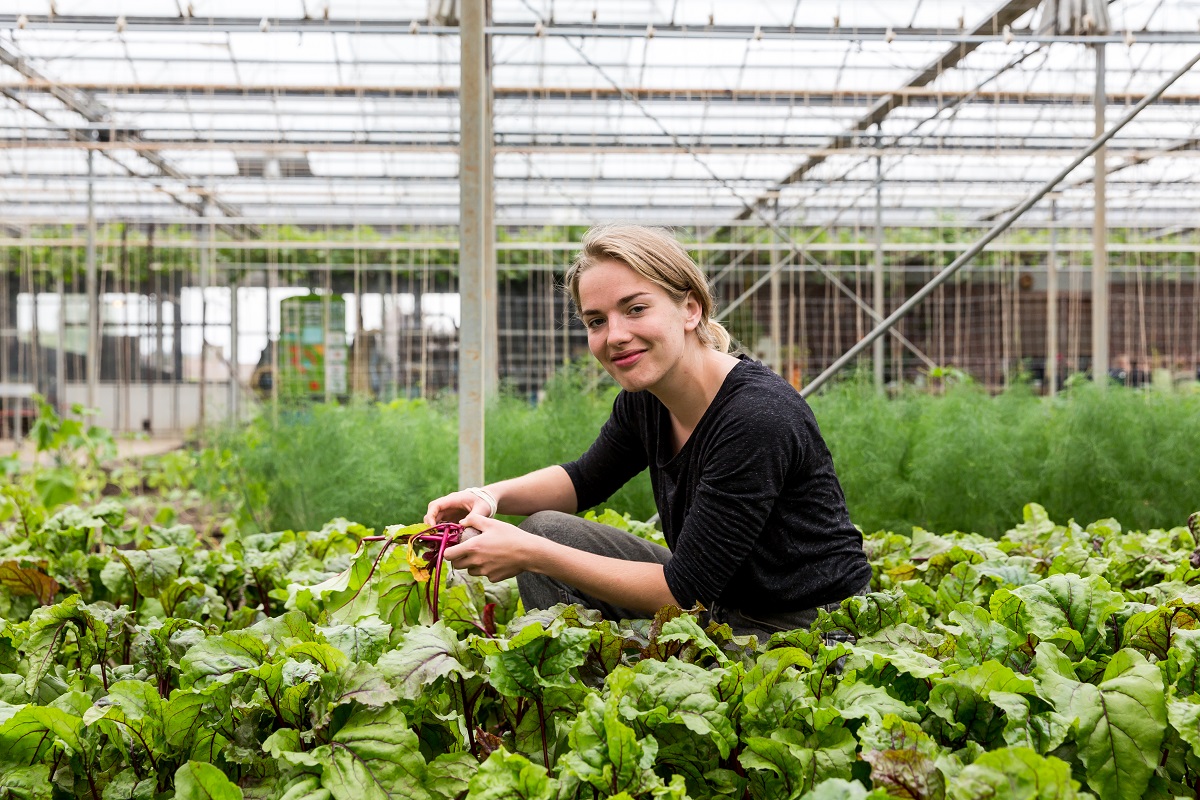 Aeres MBO Biologisch-dynamische landbouw - studente in de kas