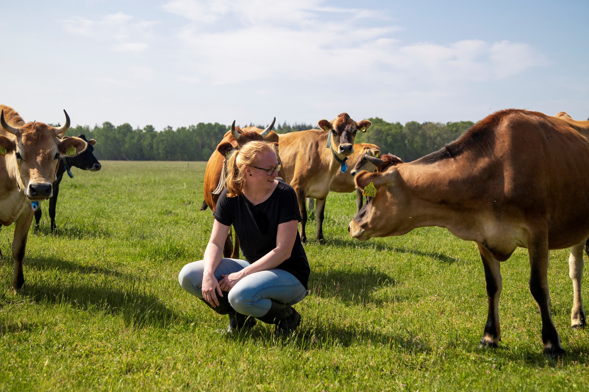 Kadercursus melkveehouderij