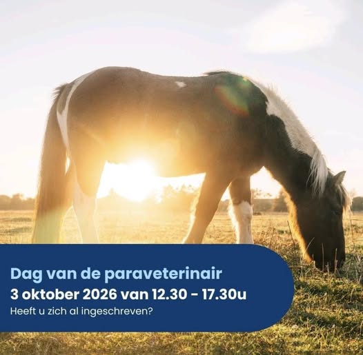 Dag van de Paraveterinair