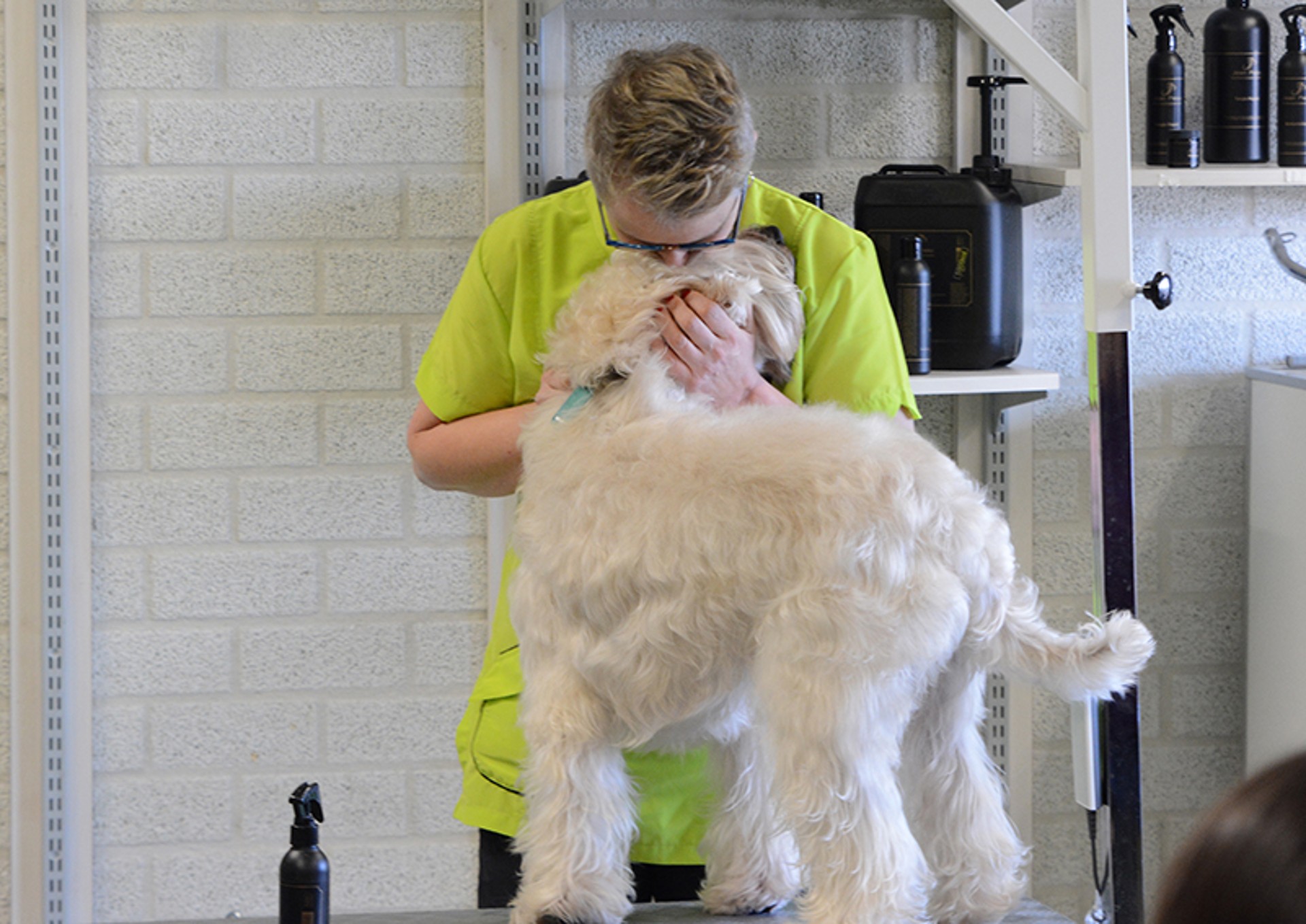 Hondentrimcursus HBVB4 2 nieuw