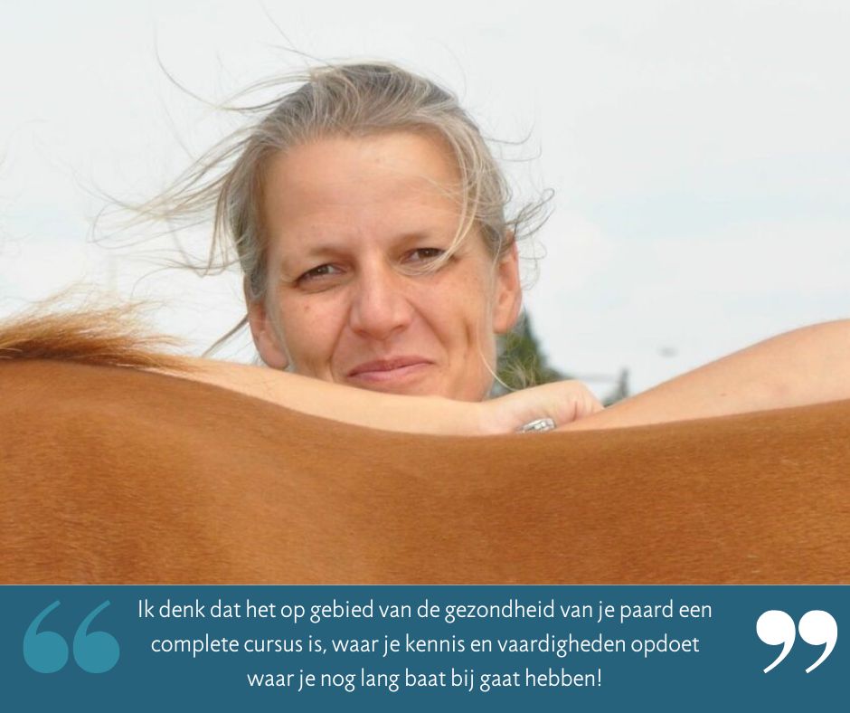 Schrijf je in voor de cursus Horse Health Manager
