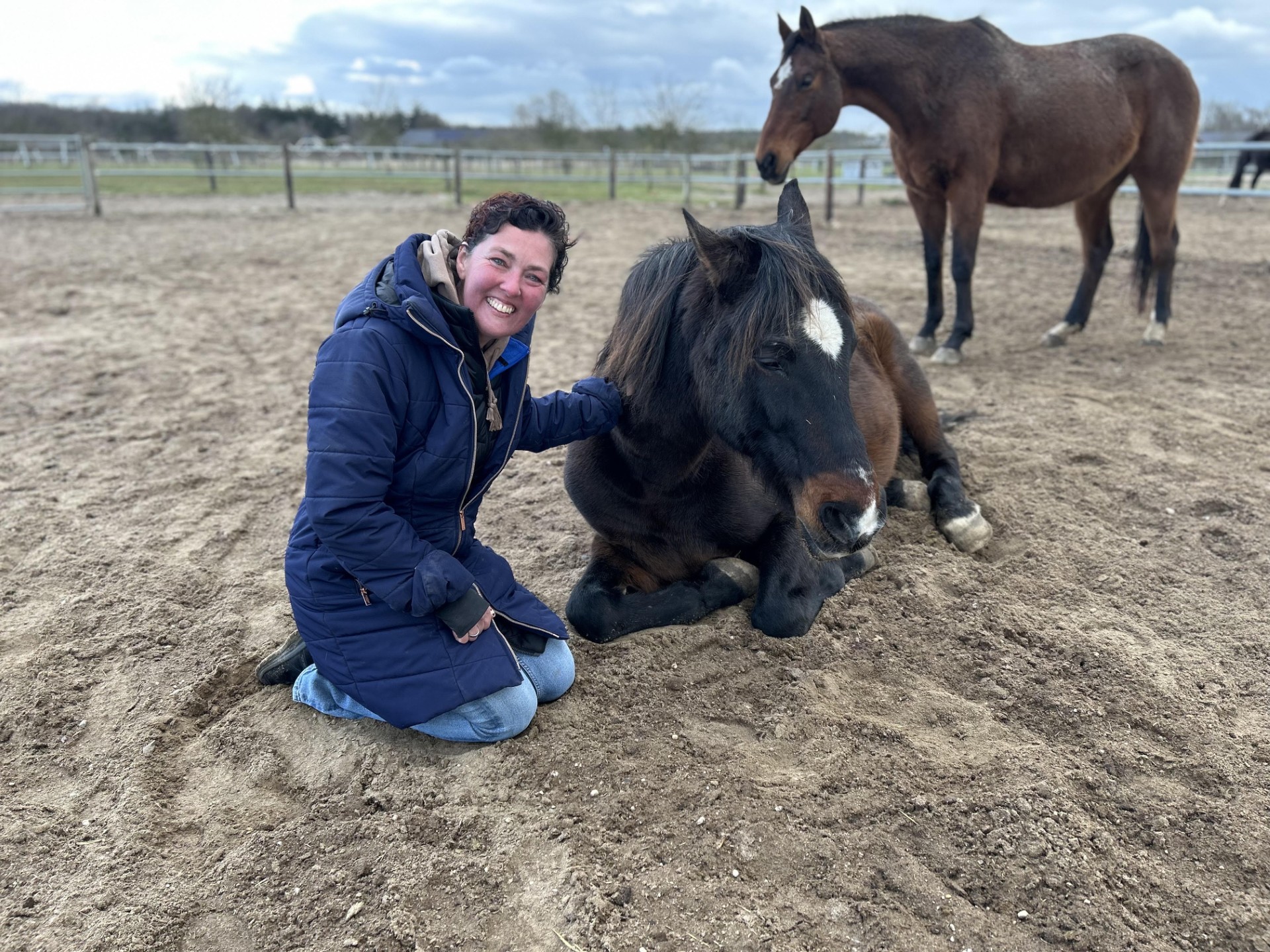 Opleiding Sportmassage Paard