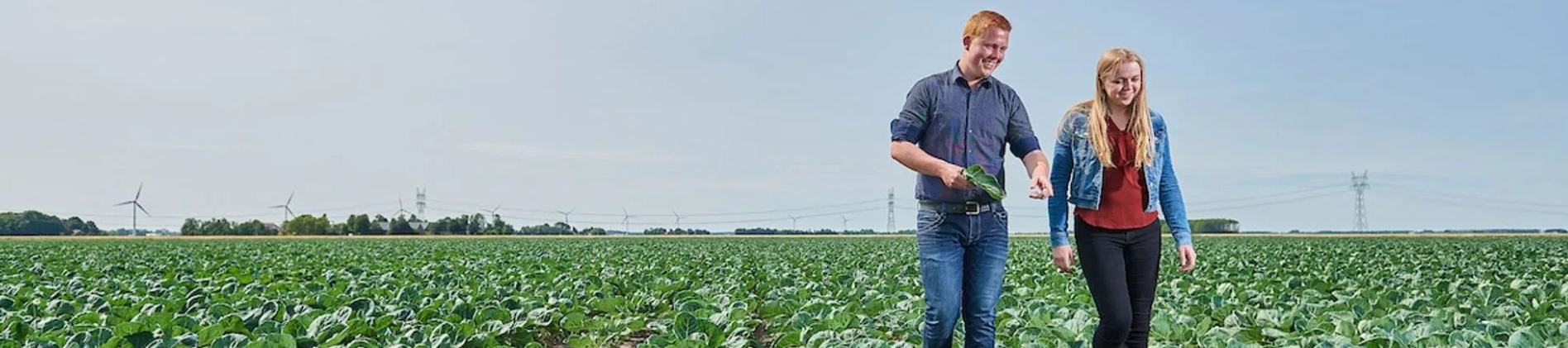 Aeres Kadercursus Vollegrondsgroente & Akkerbouw