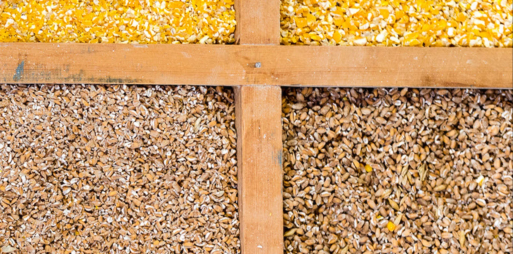 Algemene kennis van het productieproc