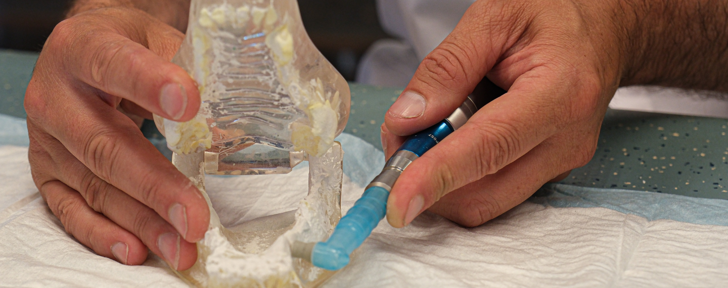 Dierverzorging fysiotherapie