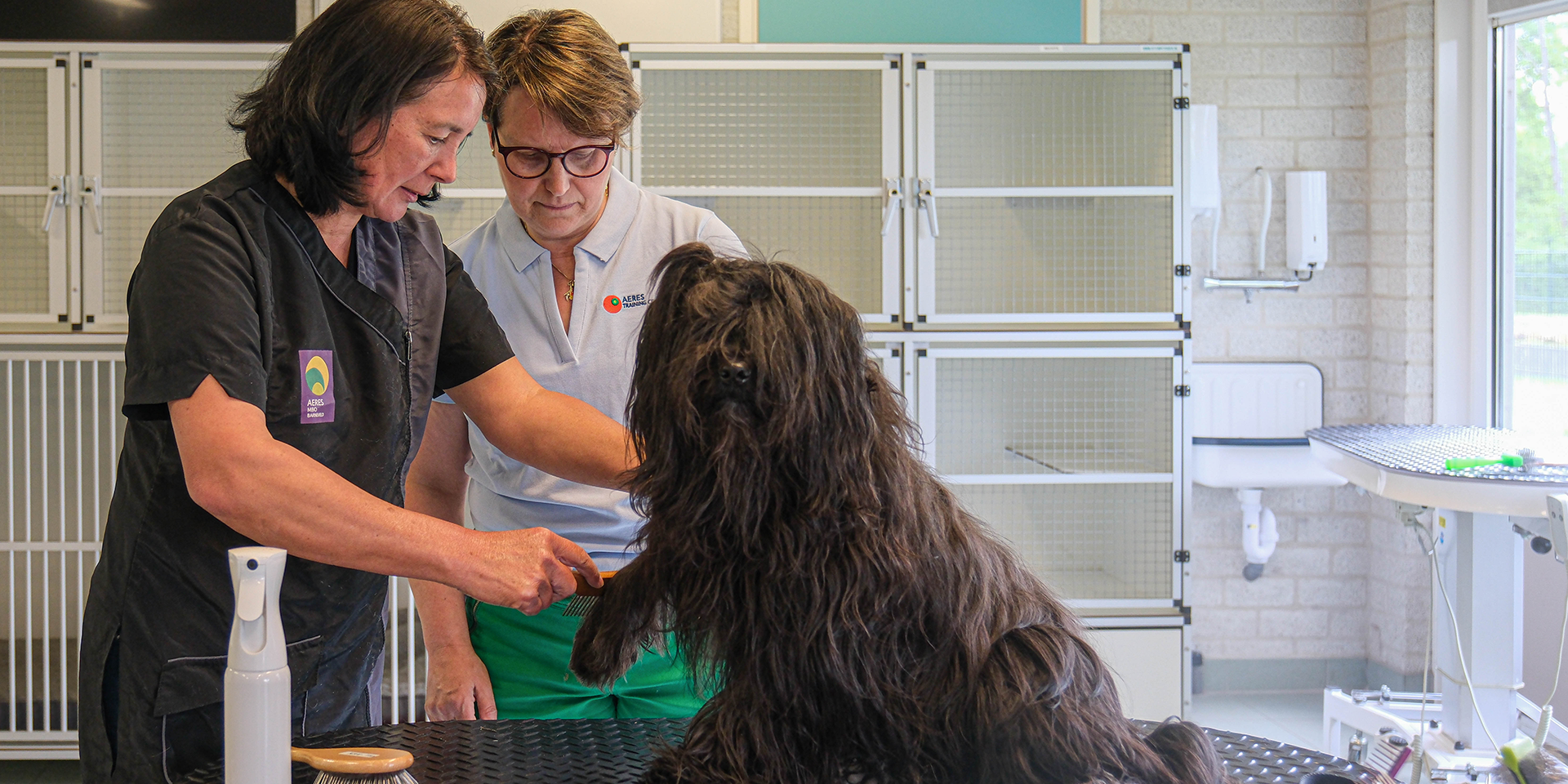 Dierverzorging hondentrimmen