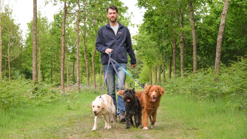 Hondenuitlaatservice beginnen