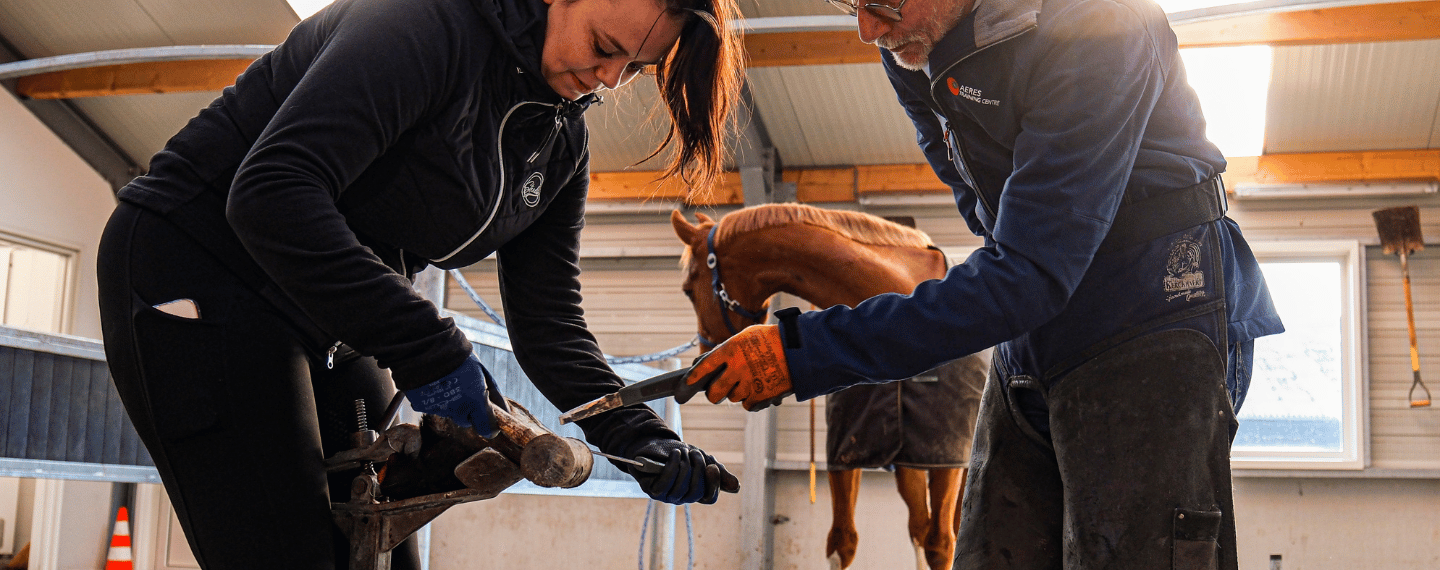 Paard hoefbekappen