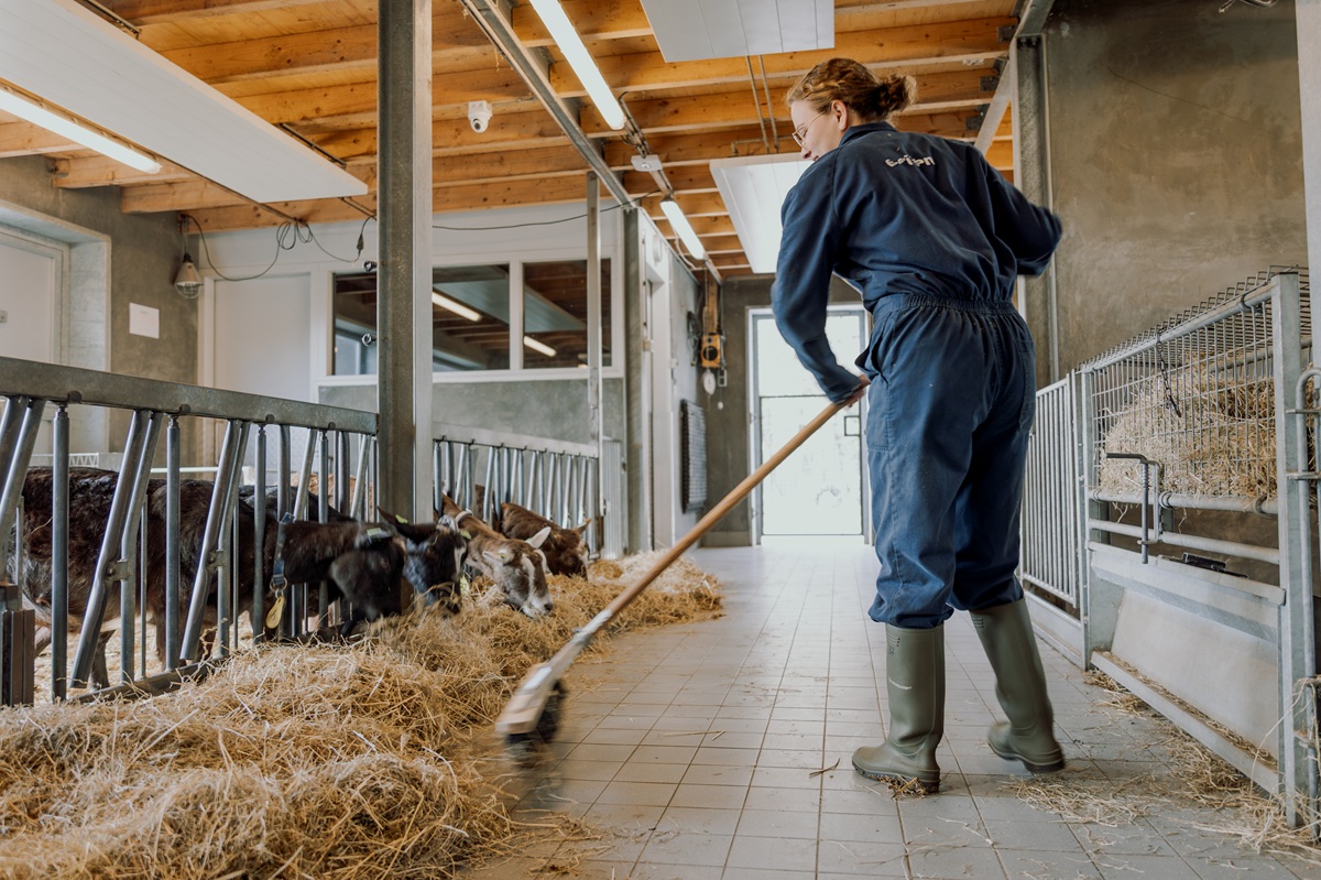 Vakmatig houden van dieren