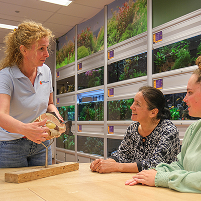 Vakmatig houden van dieren