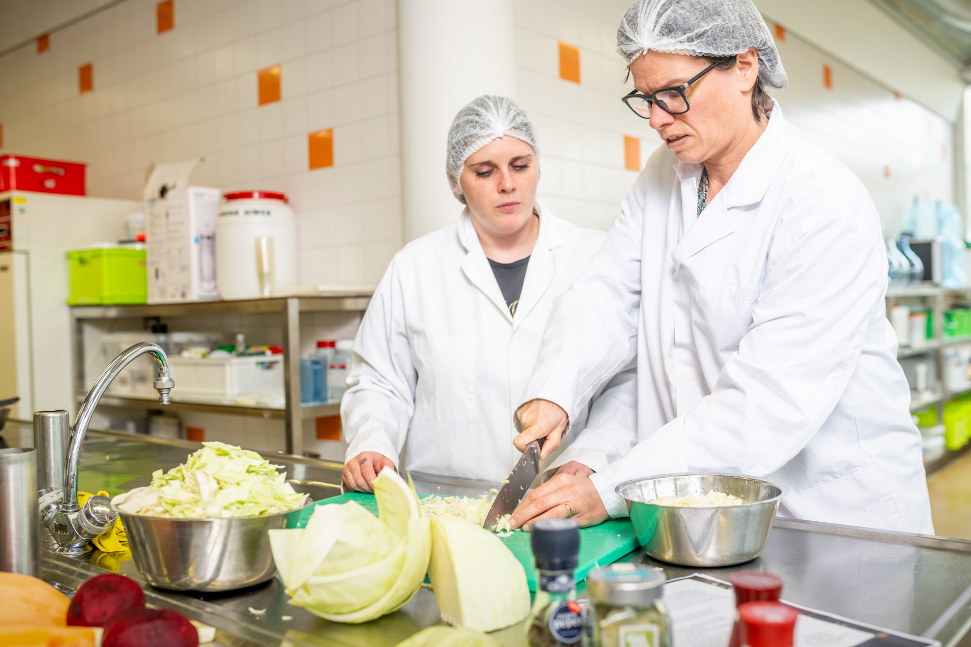 Verwerken en bereiden van voedsel