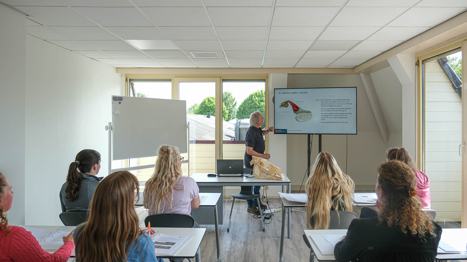 Docent met studenten