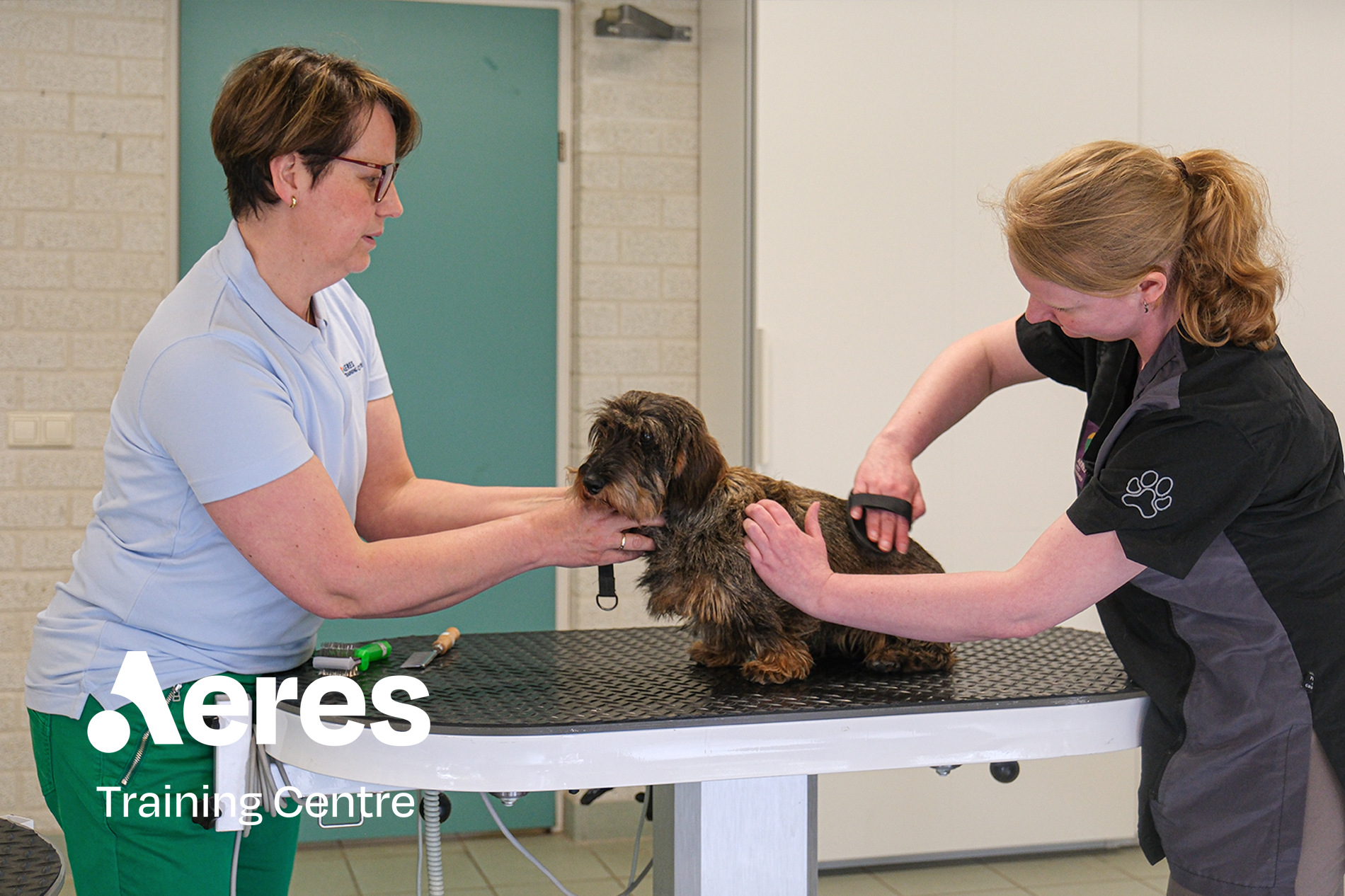 Trimmersevenement 2025